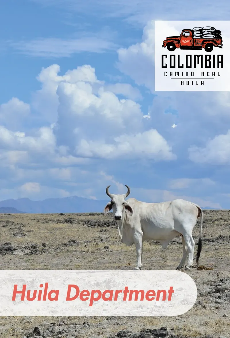 Colombia - El Camino Real - Washed - 25 lb Box