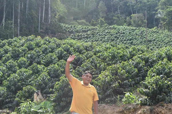 Bolivia - Juan Jose Machicado - Microlot
