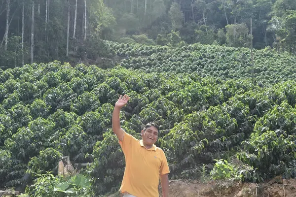 Bolivia - Juan Jose Machicado - Microlot - 25lb Box