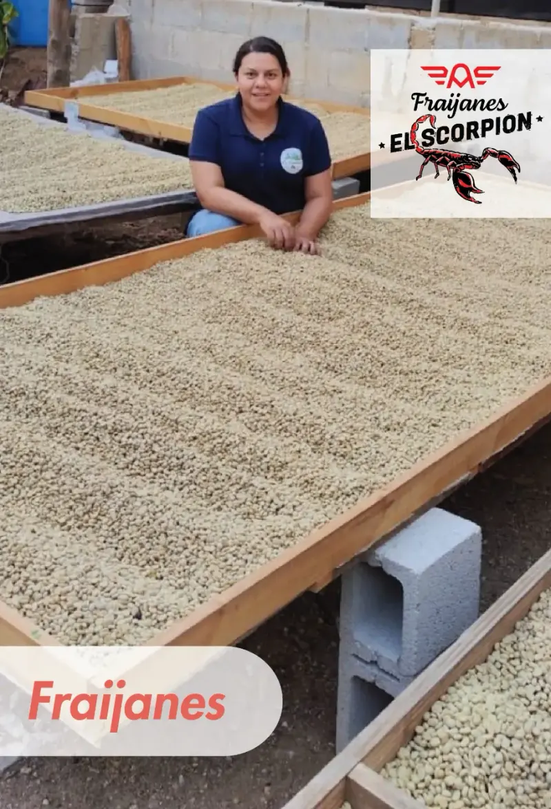 Guatemala - Red El Scorpion - Finca La Escondida - Marilyn Monterroso - 25 lb Box