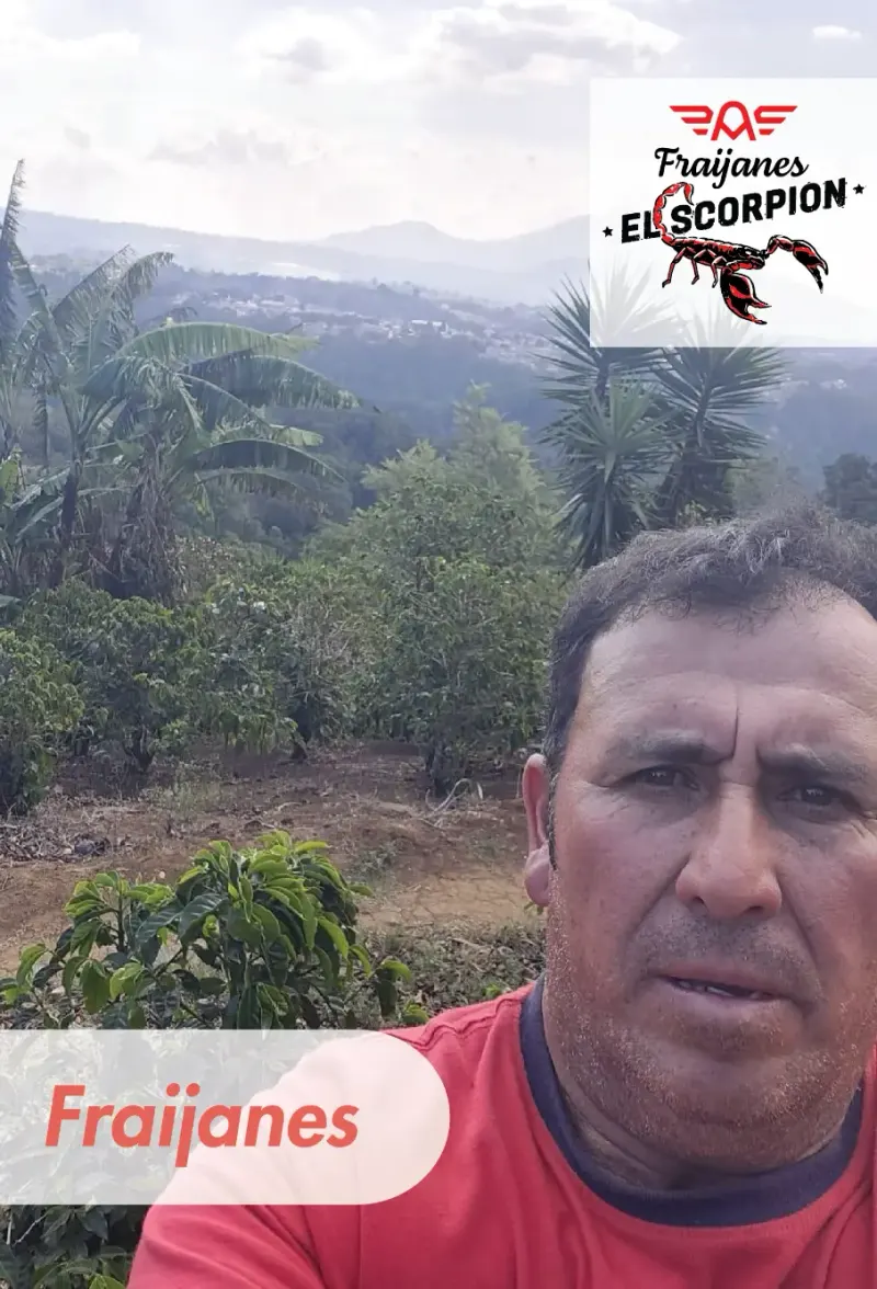 Guatemala - Red El Scorpion - Finca Las Victorias - Gustavo Batres - 25 lb Box