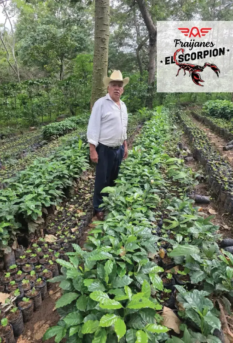 Guatemala - Red El Scorpion - Finca Tulam - Joaquin Guzman - 25 lb Box