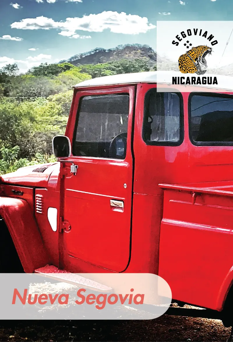 Nicaragua  - Jaguarundi - Sajonia Estate - 60 KG Bags