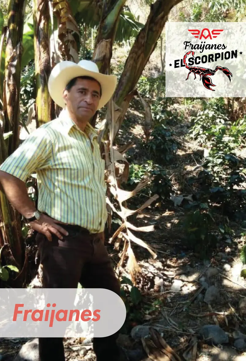 Guatemala - Red El Scorpion - Finca El Silencio - Tito Pichilla - 25 lb Box