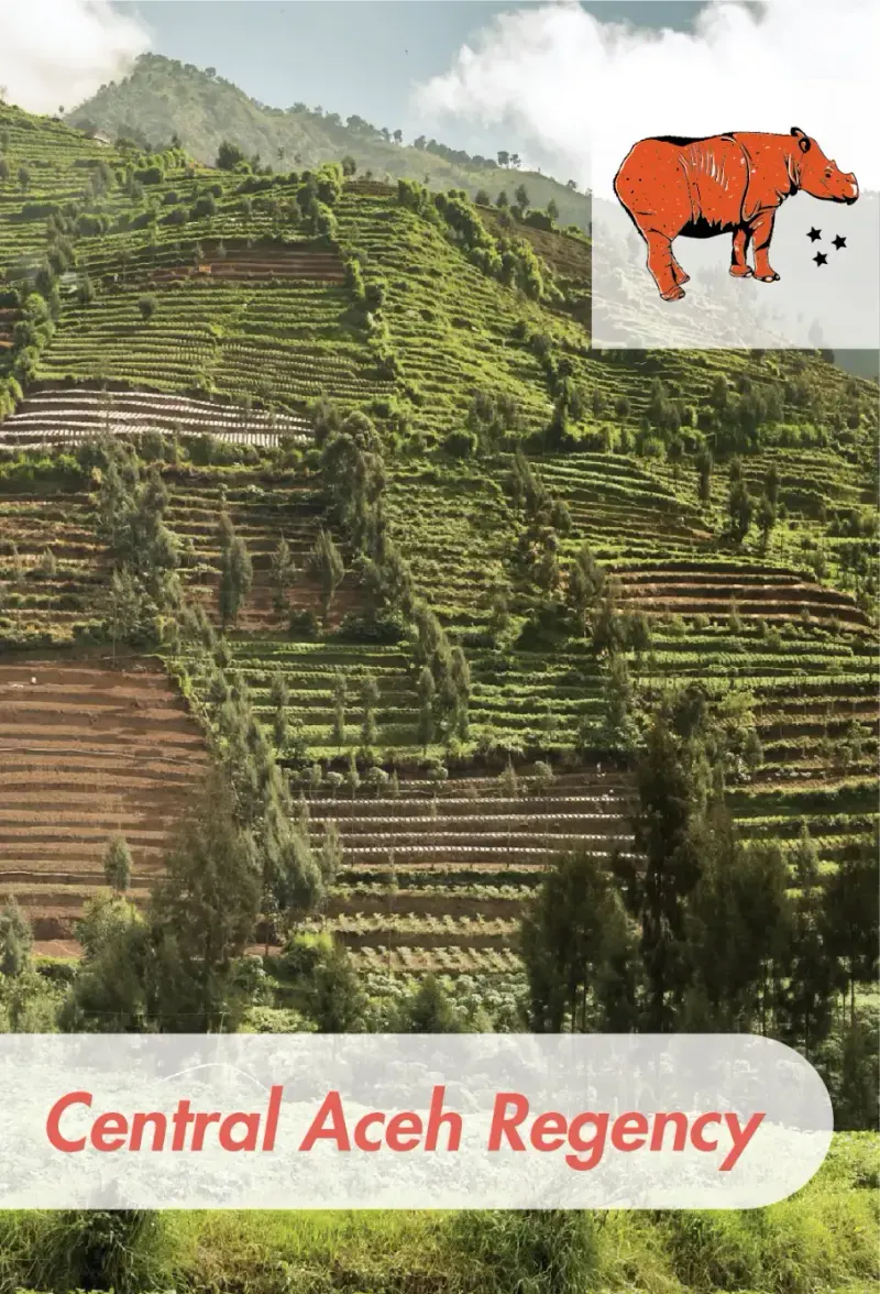 Sumatra - Gayo - Grade 1 - Double Pick - 25 lb Box